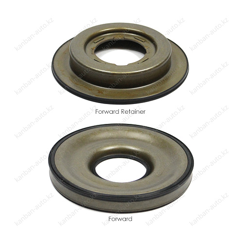 КОМПЛЕКТ ПОРШНЕЙ TPSK049A NAK