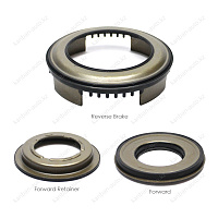 КОМПЛЕКТ ПОРШНЕЙ TPSK029 NAK