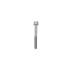 CHEESE HEAD SCREW ISO4762-M6X50 8101203064 WABCO