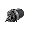 TRISTOP CYLINDER 24/24 9254811500 WABCO